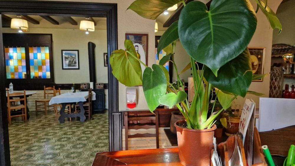 Hotel Restaurant El Bosc — Salou — photo 2