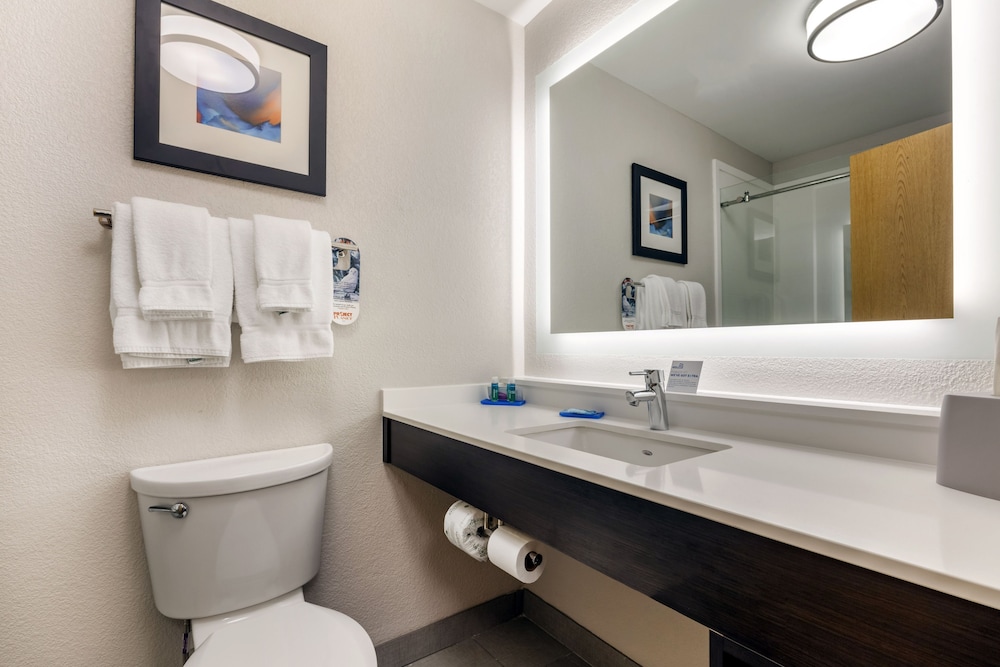 Holiday Inn Express Metropolis - photo 34