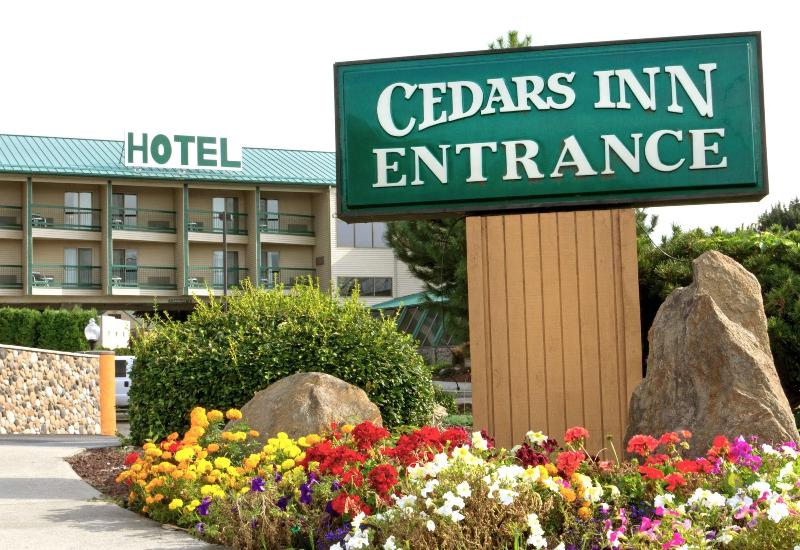Cedars Inn - photo 7