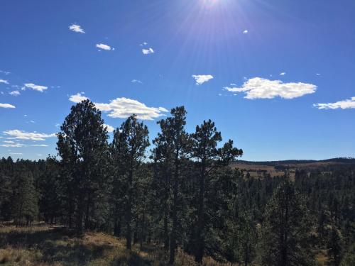Priceless Black Hills View - photo 8