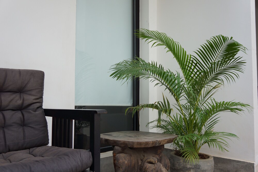 Ofuro Hotel — Phnom Penh — photo 4