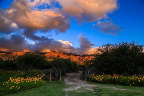 Cabaña romántica en la sierra — San Javier — photo 2