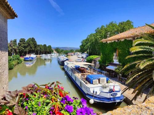 Louis Xiii Le Somail. - last minute hotel in Unknown City
