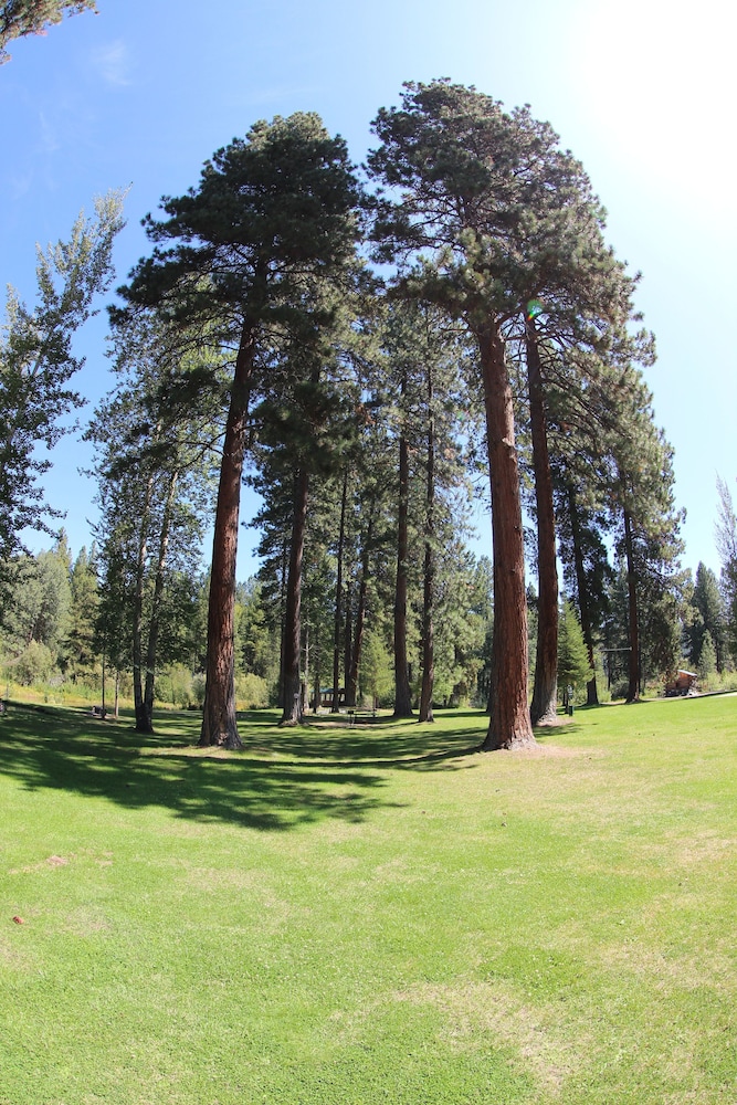Crater Lake Resort - photo 92
