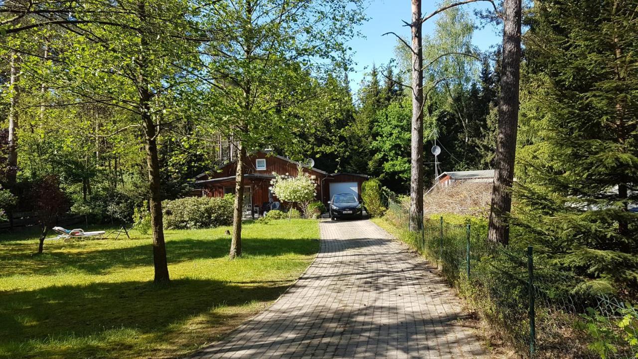 Ferienhaus Im Grunen — hotel in Wietze