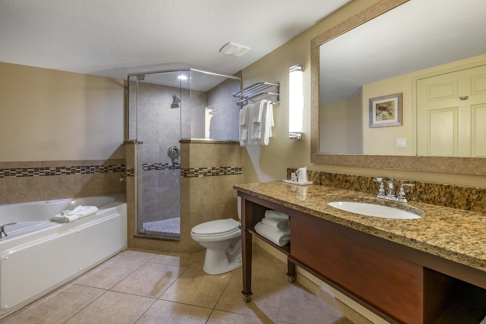 Holiday Inn Resort Orlando Lake Buena Vista by IHG - photo 48