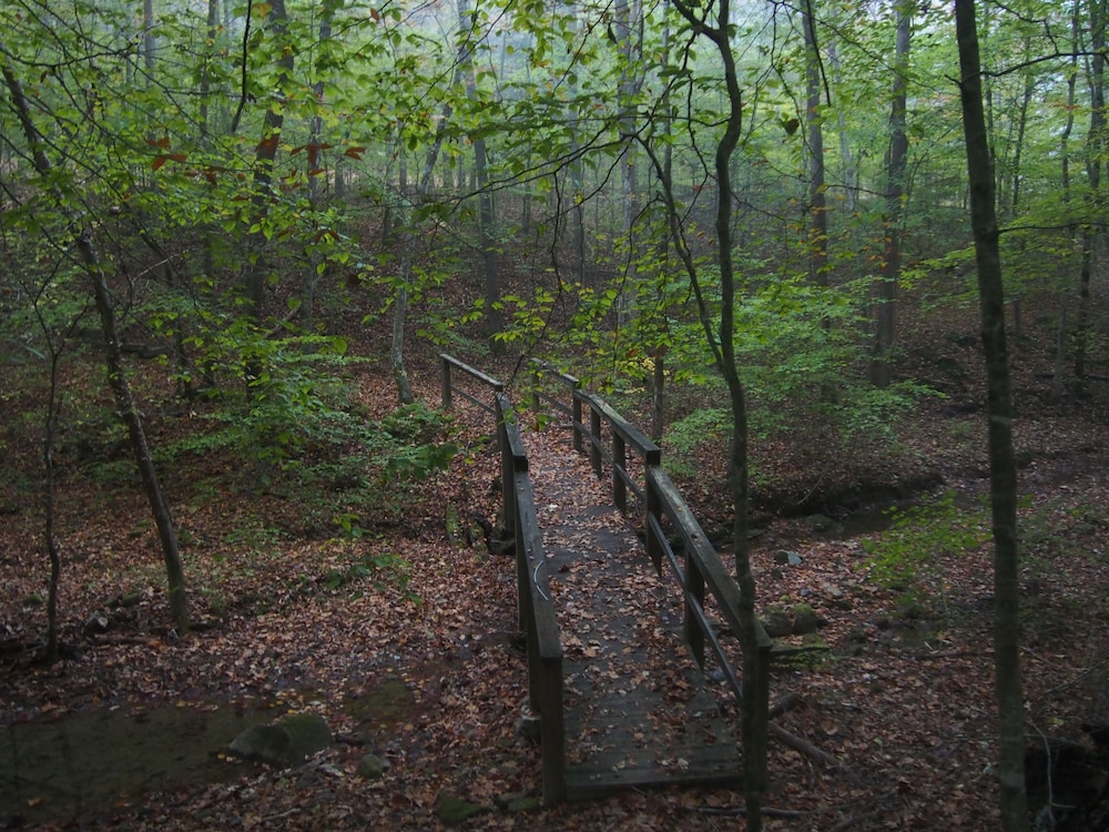 Buckhorn Lake State Resort Park - photo 24