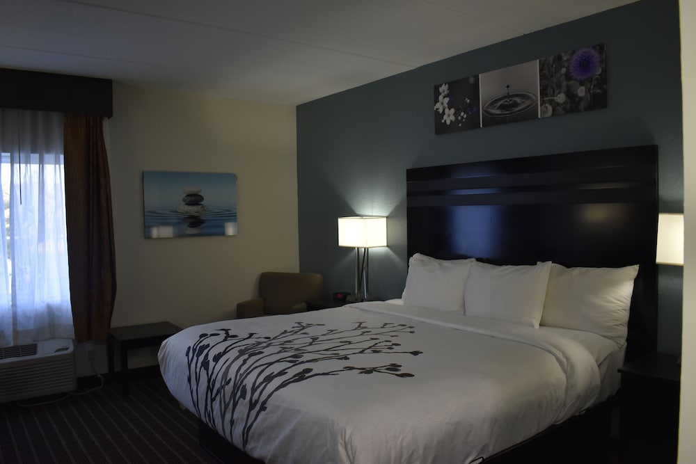 Sleep Inn & Suites Knoxville West - photo 13
