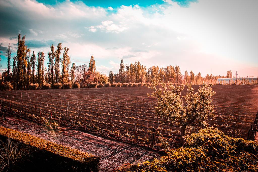 Finca Terrada in Maipu, Argentina