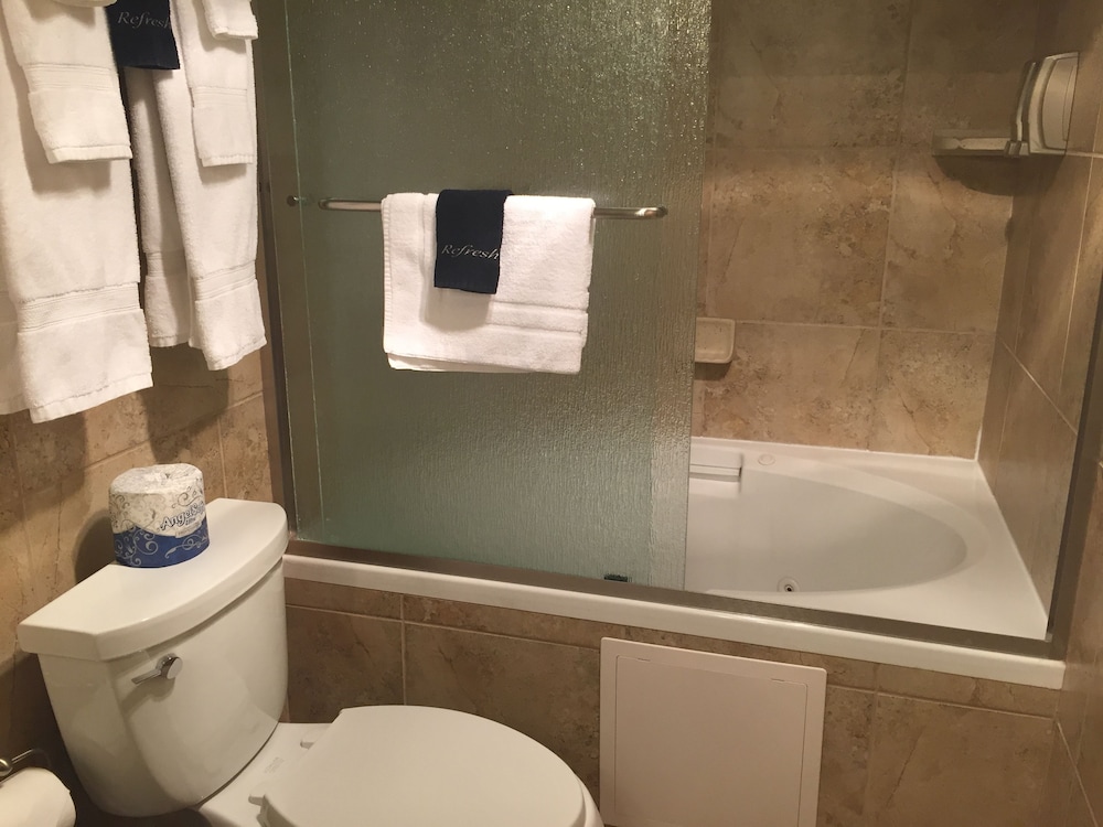 Dinosaur Inn & Suites - photo 38