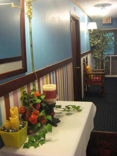 Vintage Motel - photo 6