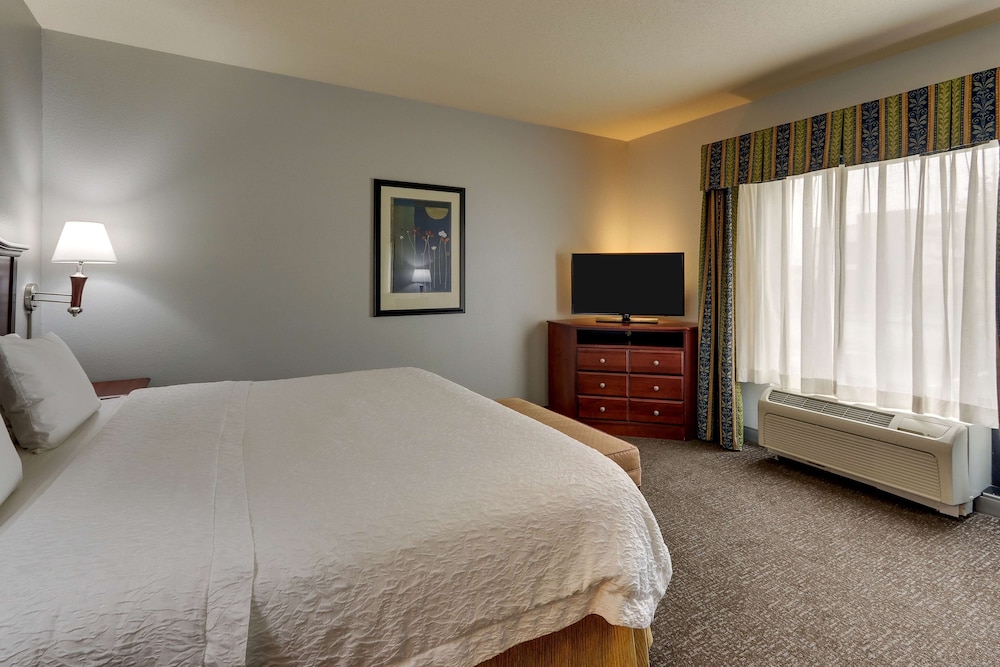 Hampton Inn & Suites Indianapolis Airport - photo 19