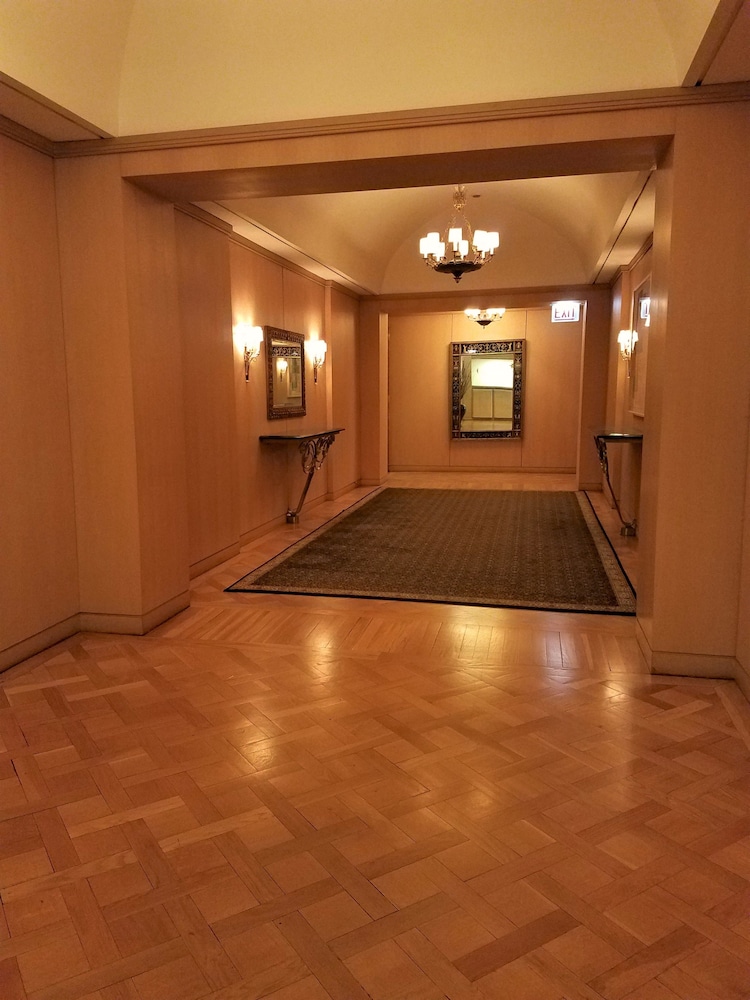 The Buckingham Hotel - photo 41