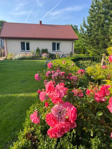 Agroturystyka Smulsko — hotel in Przykona