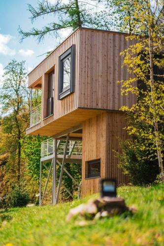 Experience Nature In A Loft At Treetop Height — Ilsenburg
