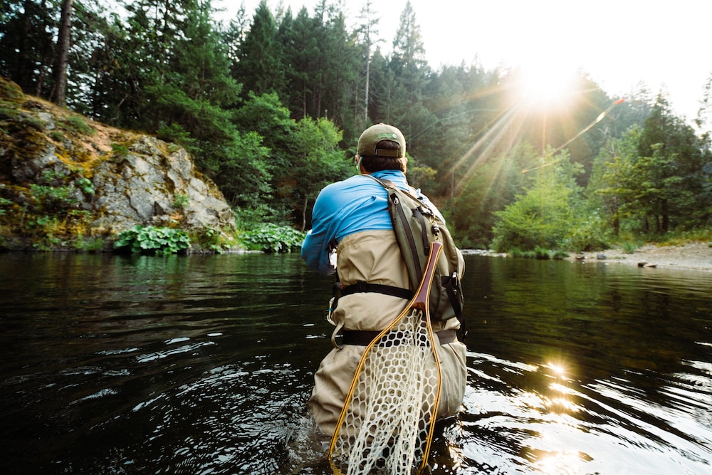 Holiday Inn Express Yreka Shasta Area by IHG in Yreka, United States