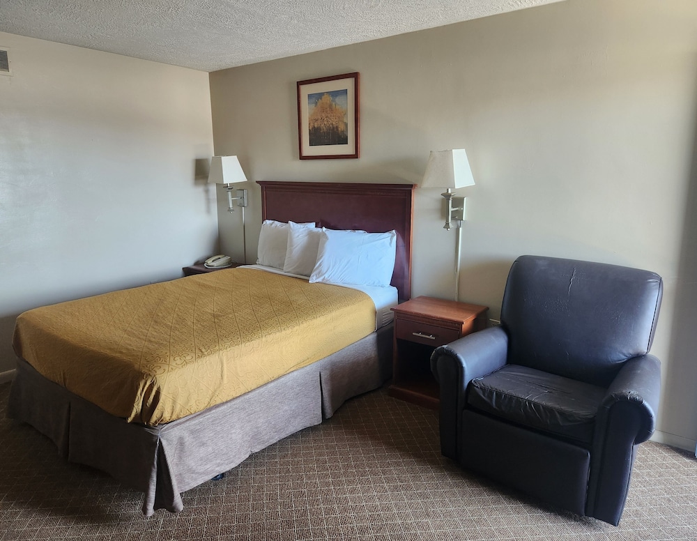 Royal Motel - photo 16