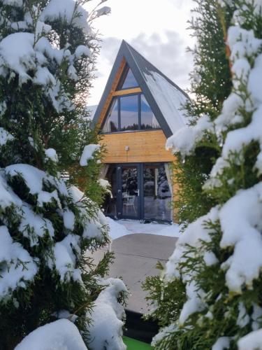 Tana dell Lupo - carbon neutral hotel in Unknown City