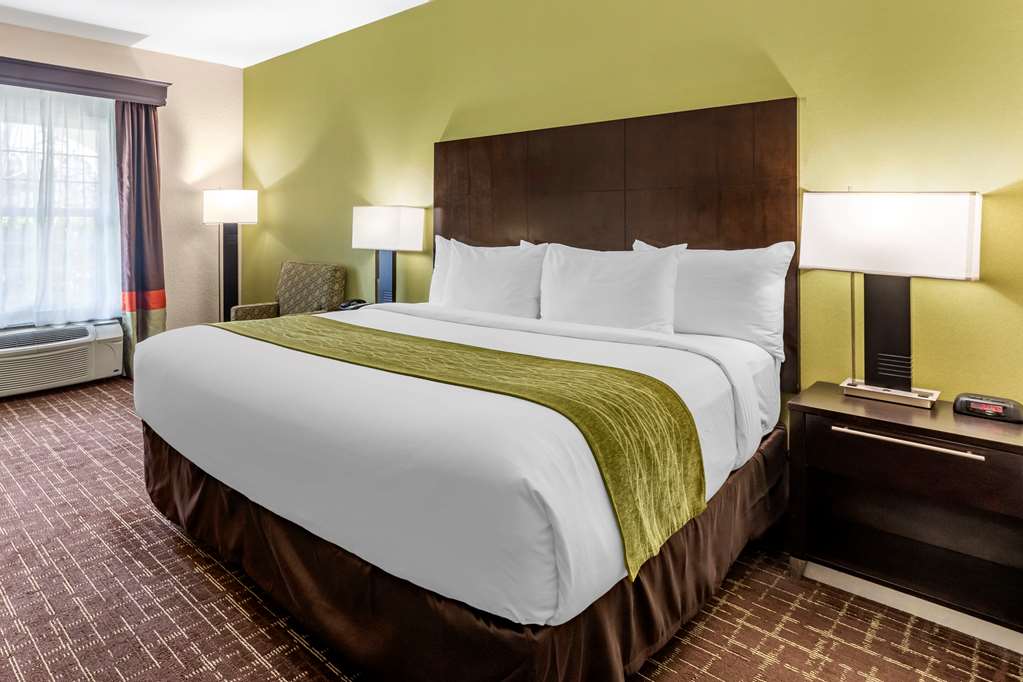 Comfort Inn San Diego Old Town - photo 8