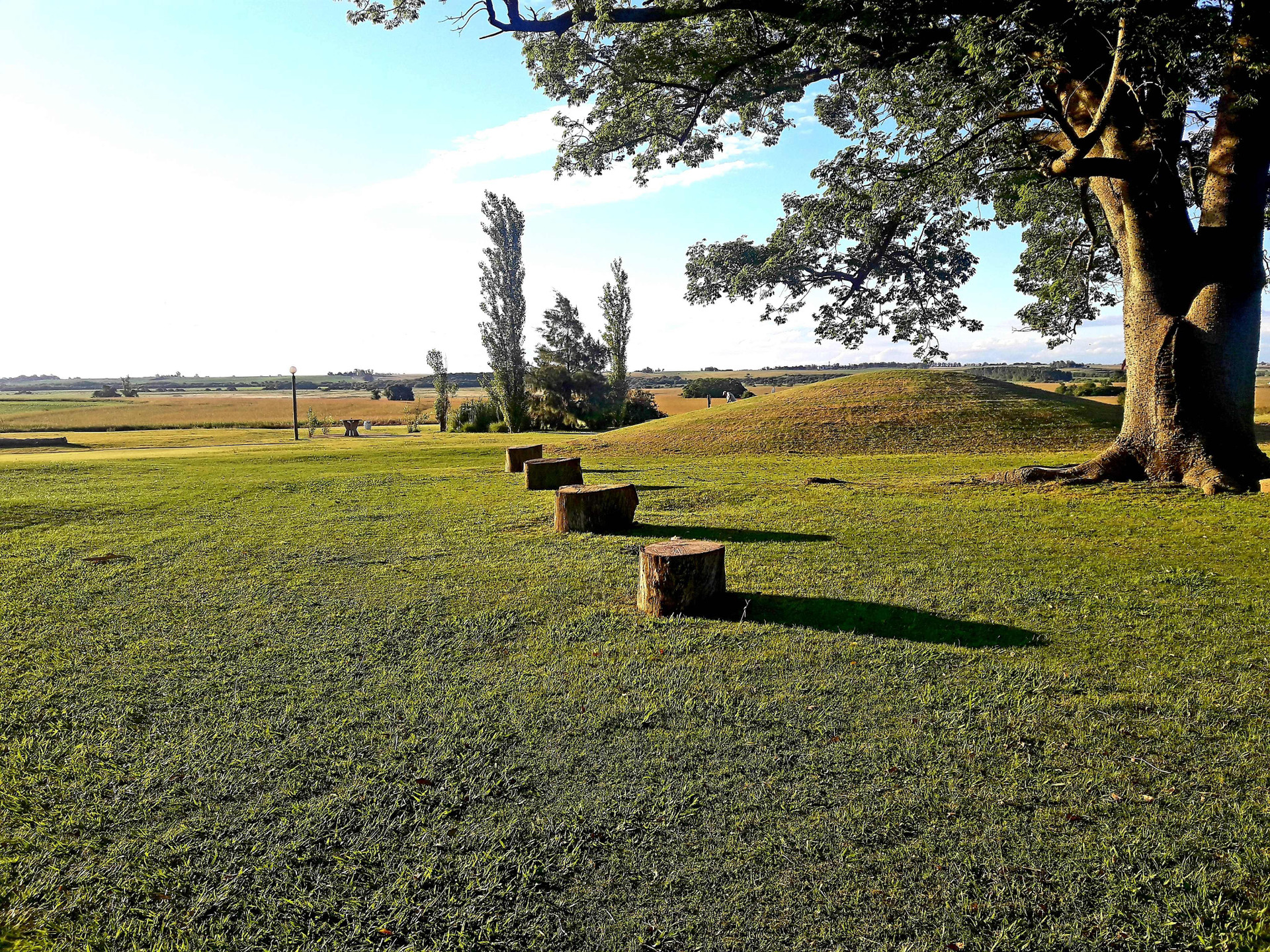 Campo & Golf — Victoria — photo 5