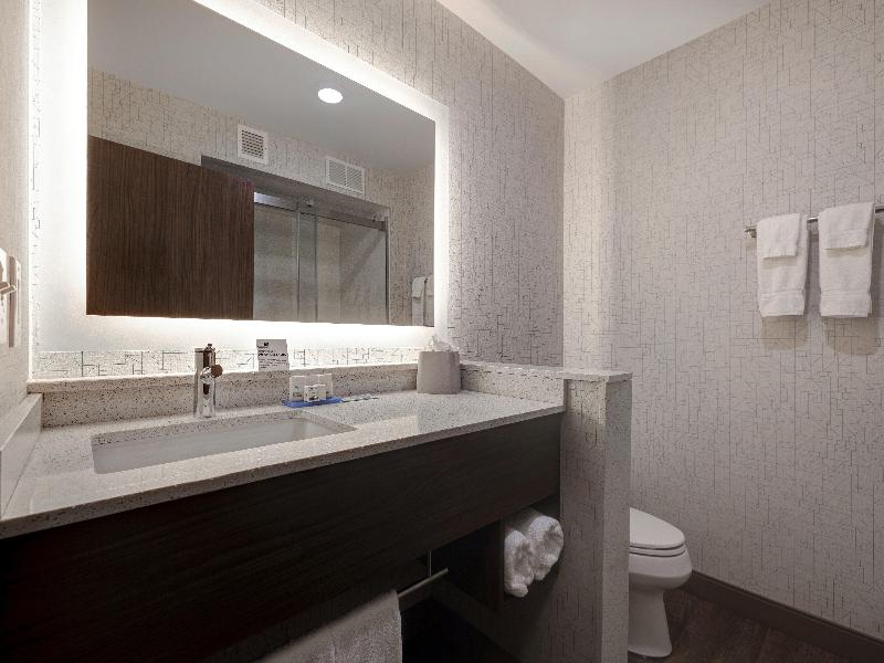 Holiday Inn Express & Suites Ann Arbor University South by IHG - photo 48