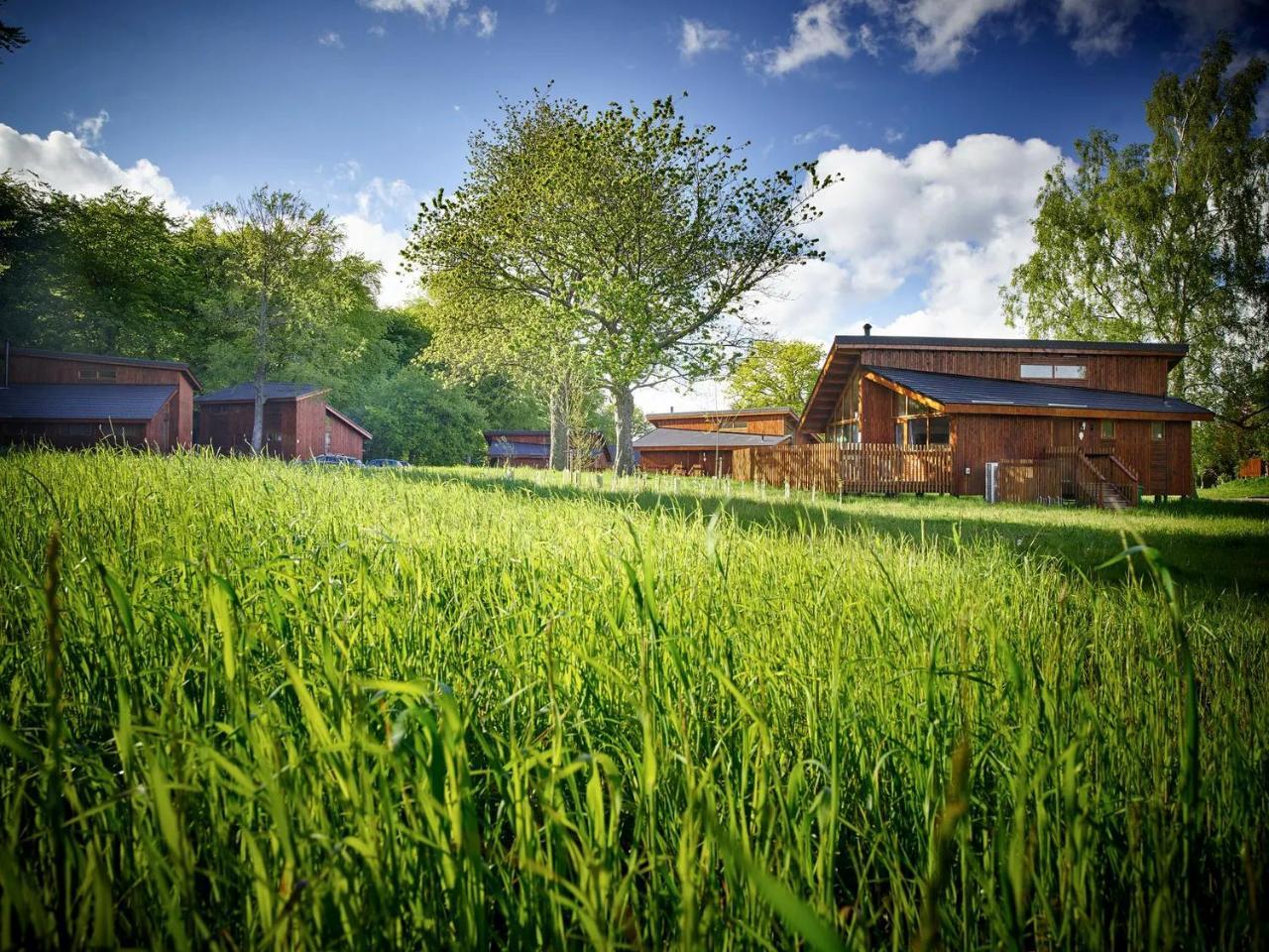 Forest of Dean Cabins Forest Holidays — 4-Star Luxury Hotel in Coleford, United Kingdom