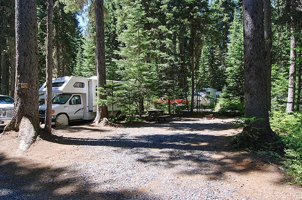 Shelter Cove Resort and Marina - photo 103