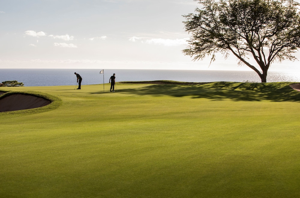 Four Seasons Resort Lanai - photo 91
