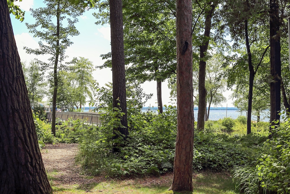 The Shores Resort - photo 297