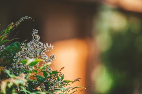 Quinta do Lameiro in Tarouca, Portugal