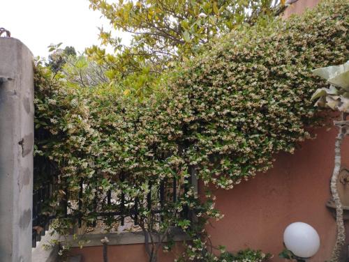 Casabella Mondello — hotel in Partanna