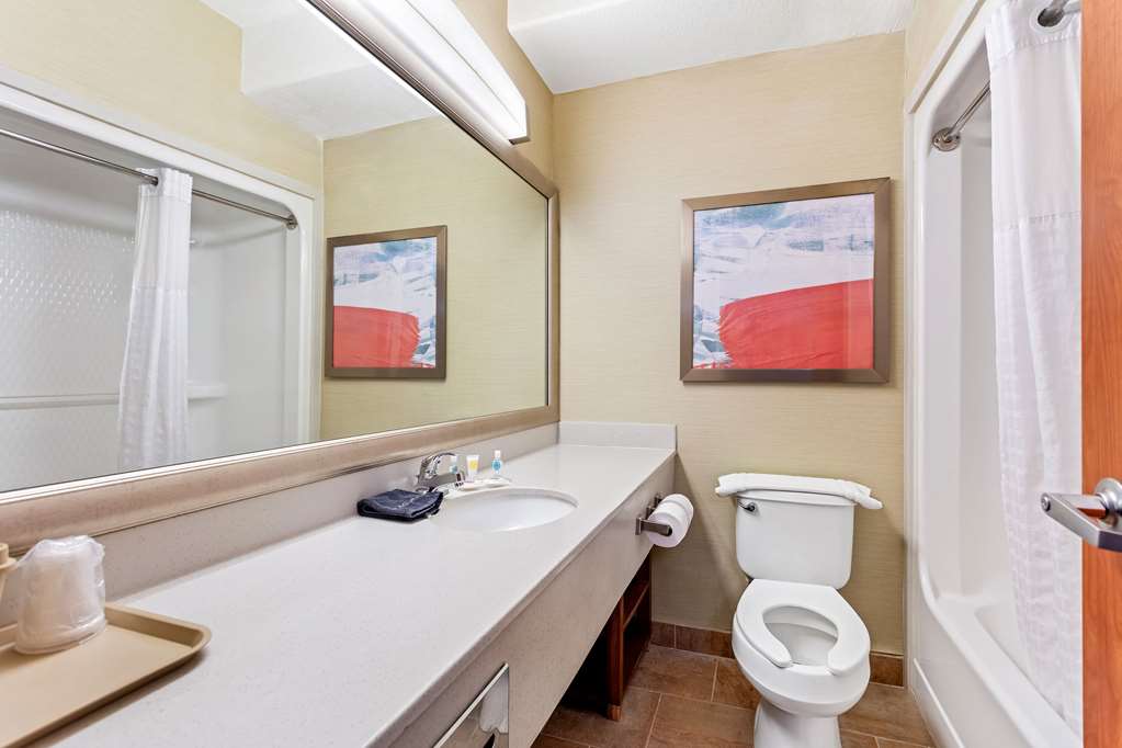 Comfort Inn & Suites I 25 near Spaceport America - photo 18