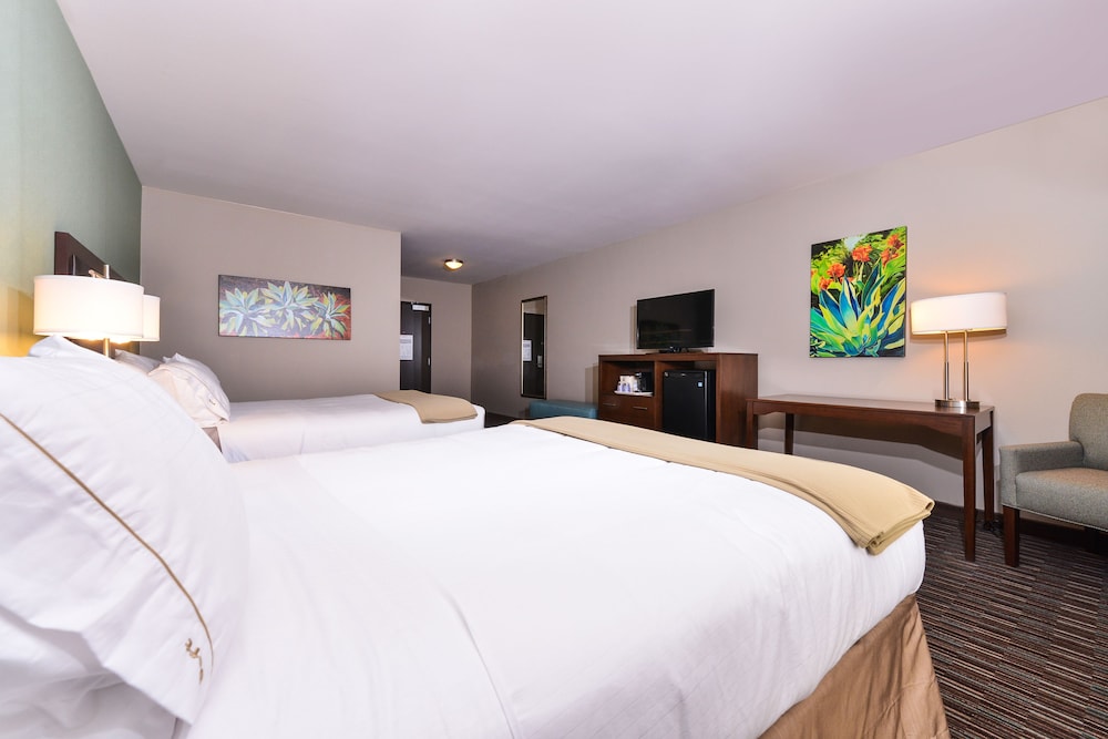 Holiday Inn Express Hotel & Suites Indio Coachella Valley an IHG Hotel - photo 3