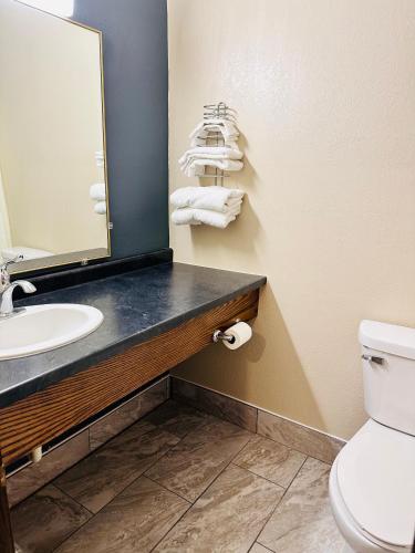 Regency Inn Hudson - photo 7