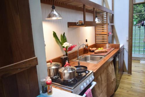 Jungle Paunch in Bocas Del Toro, Panama