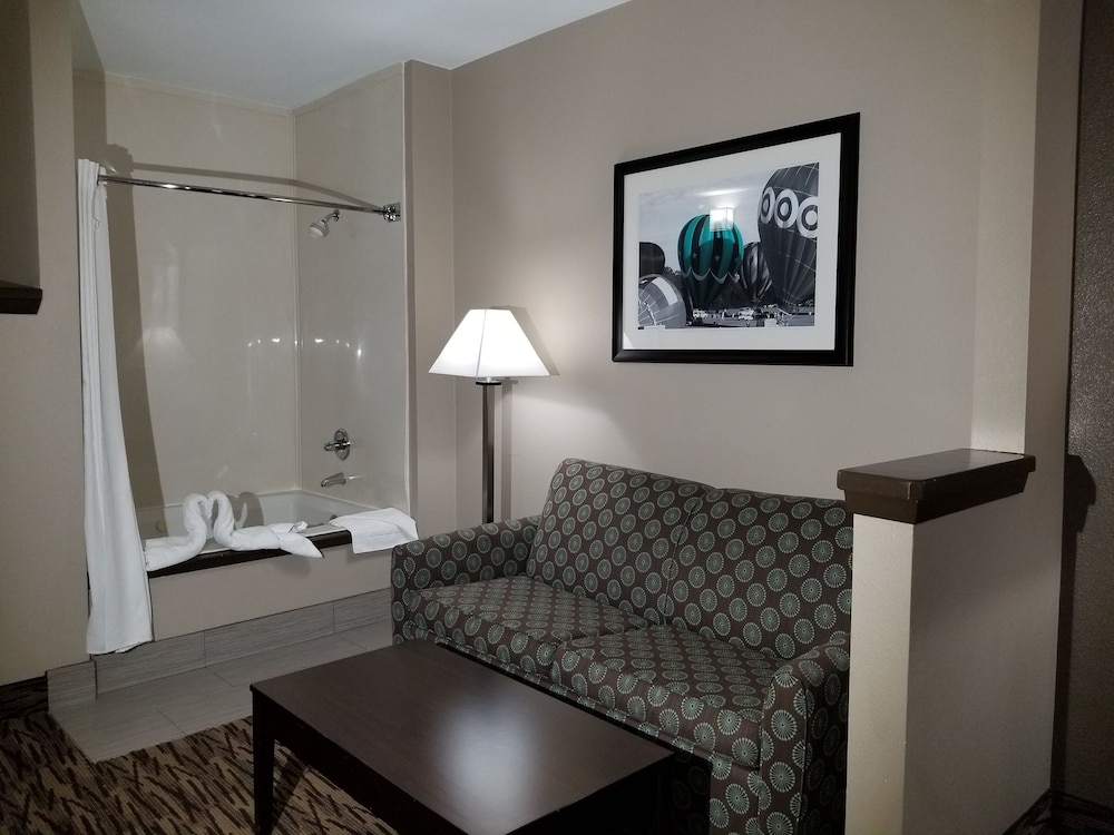 Comfort Suites Plano East Richardson - photo 10
