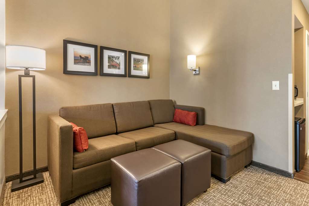 Comfort Suites Manheim Lancaster - photo 10