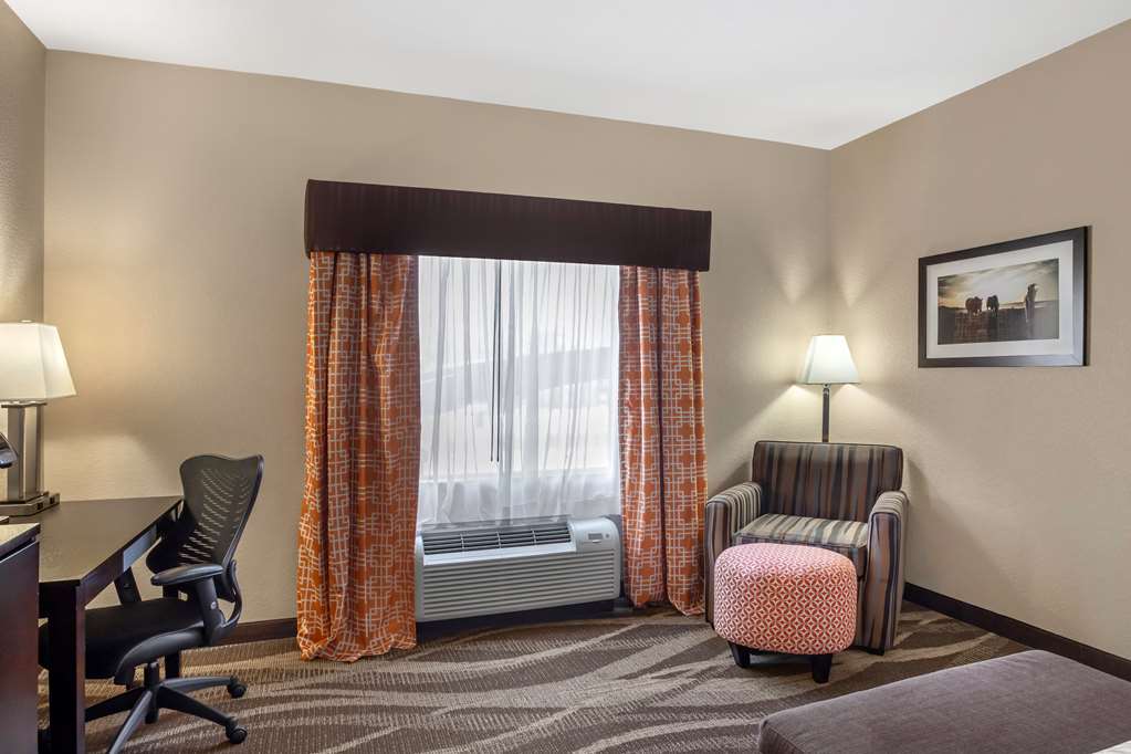 Best Western Plus Lake Jackson Inn & Suites - photo 14
