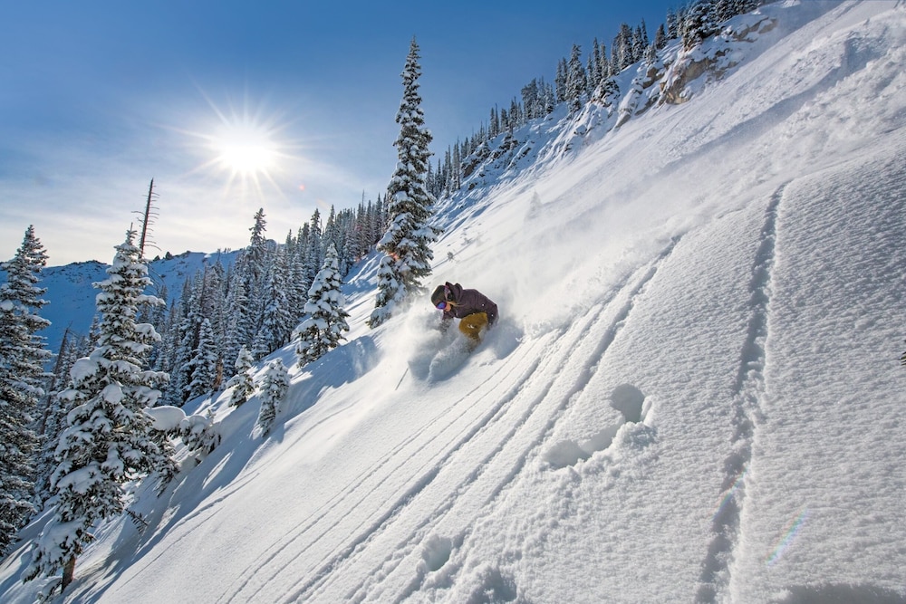 Crested Butte Mountain Resort - photo 117