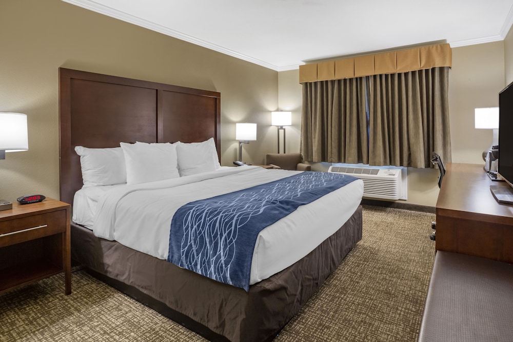 Comfort Inn Sunnyvale Silicon Valley - photo 23