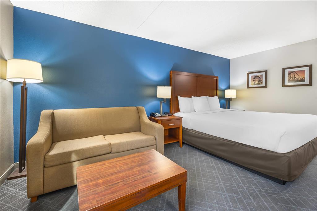 Comfort InnSuites ChattanoogaWest Lookout Mountain - photo 8