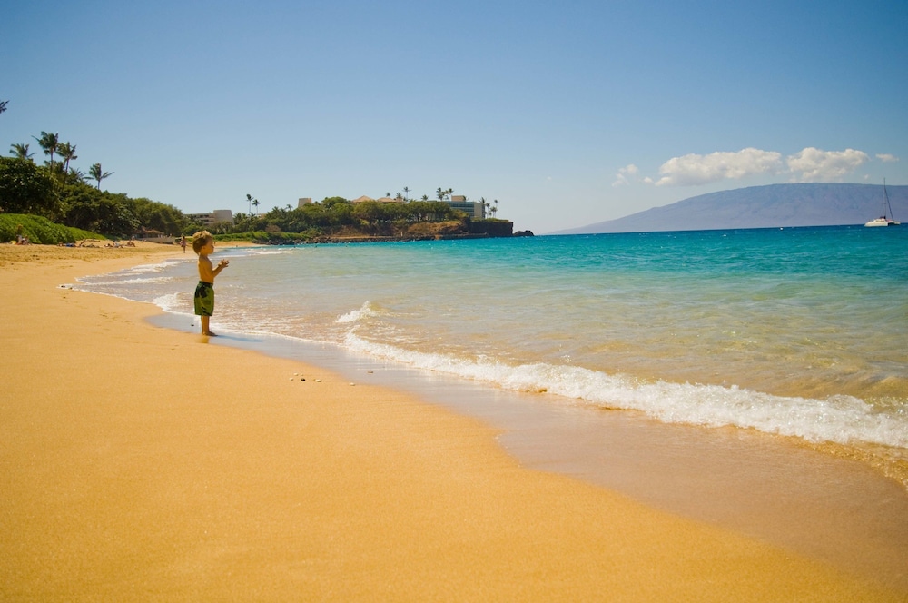 Kaanapali Ocean Inn - photo 56