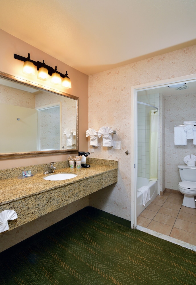 Lamplighter Inn & Suites at SDSU - photo 60