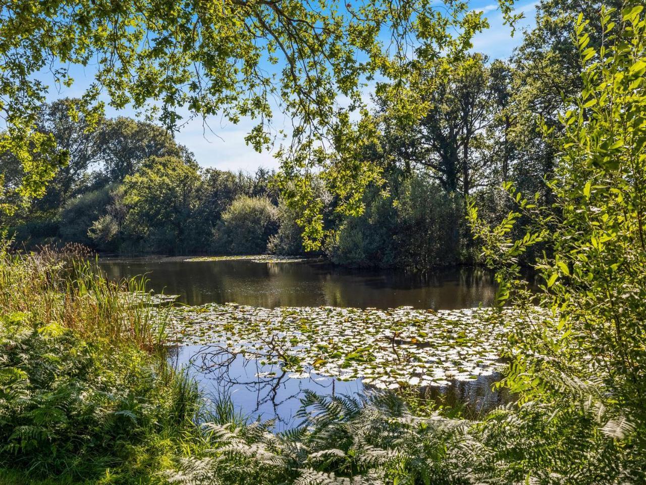 The Lodge At The Lake House — 4-Star Luxury Hotel in Billingshurst, United Kingdom