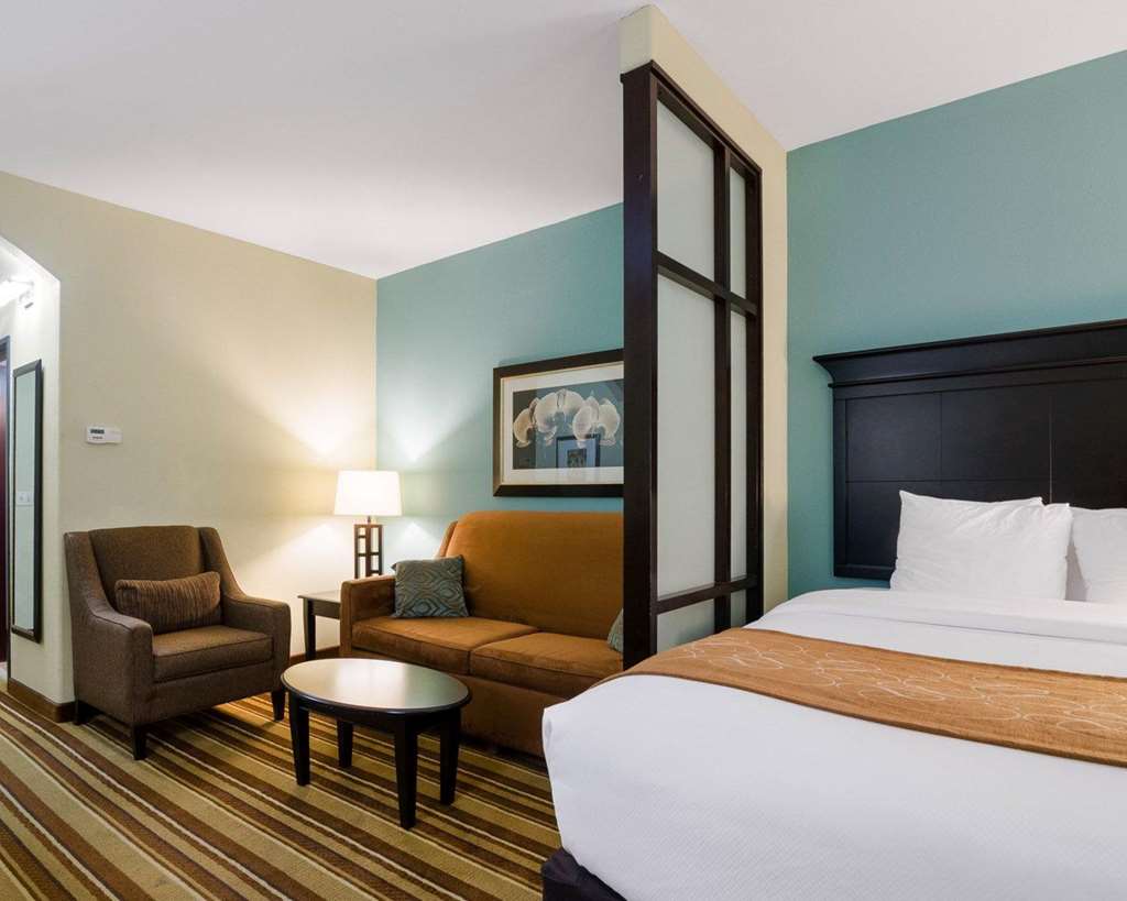 Comfort Suites Topeka Northwest - photo 11