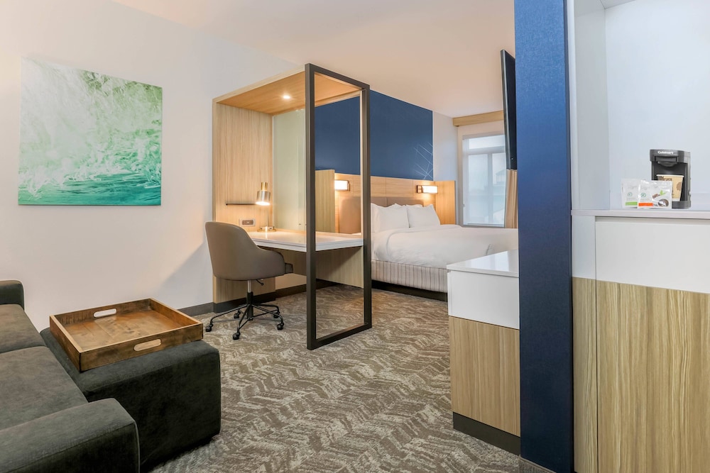 SpringHill Suites by Marriott Tallahassee North - photo 15