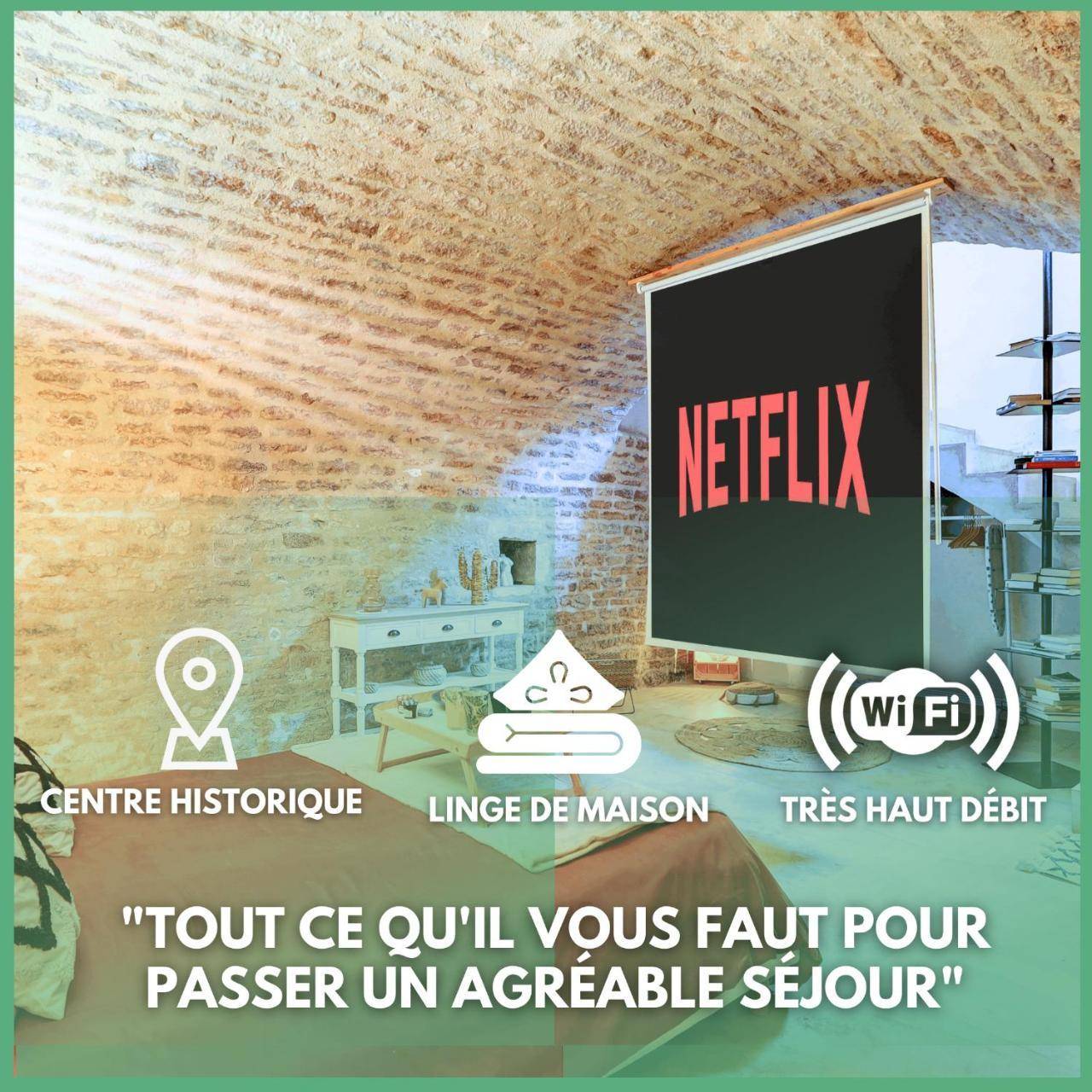 L Authentique New Cinema Unique Hypercentre Rent Immo — Dijon