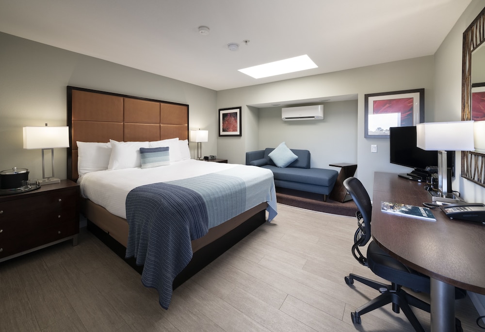 Mariposa Inn & Suites - photo 6
