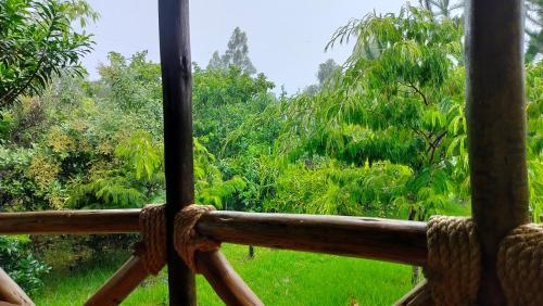 Podocarpus cottages — Naro Moru — photo 5
