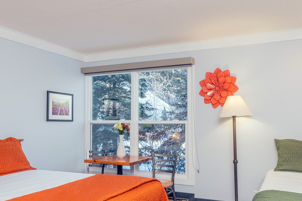 Mountainside Inn 103 1 Bedroom Hotel Room by Alpine Lodging Telluride - photo 5